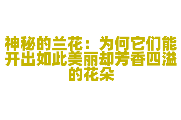神秘的兰花：为何它们能开出如此美丽却芳香四溢的花朵？