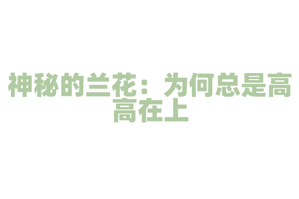 神秘的兰花：为何总是高高在上？