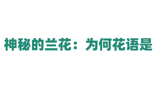 神秘的兰花：为何花语是“永恒之爱”？