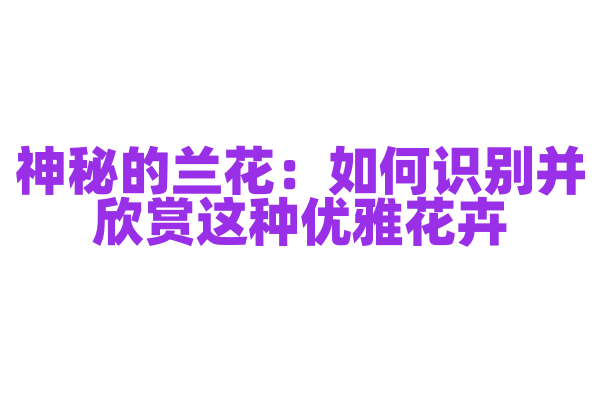 神秘的兰花：如何识别并欣赏这种优雅花卉