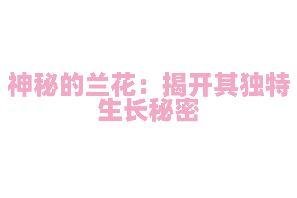 神秘的兰花：揭开其独特生长秘密
