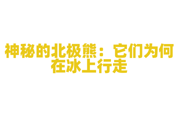 神秘的北极熊：它们为何在冰上行走？