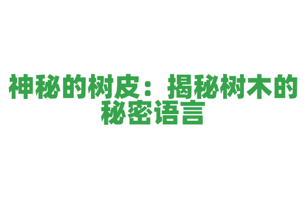 神秘的树皮：揭秘树木的秘密语言