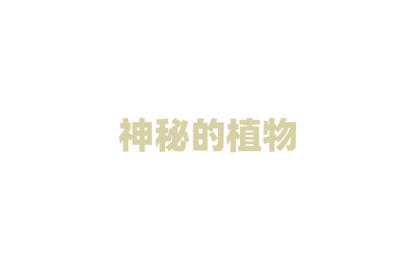 神秘的植物——如何让花儿自述其故事