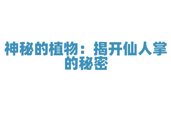 神秘的植物：揭开仙人掌的秘密