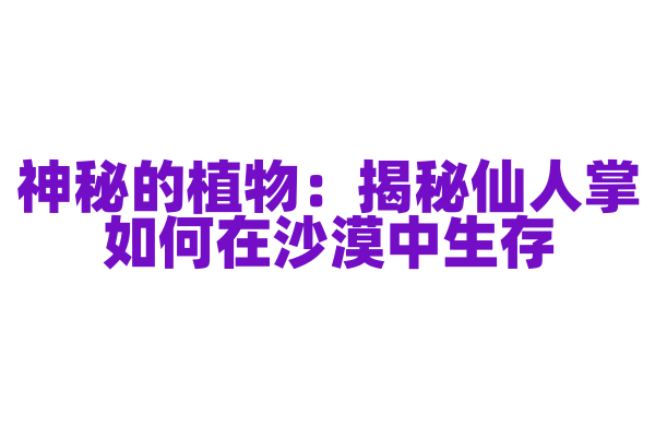 神秘的植物：揭秘仙人掌如何在沙漠中生存