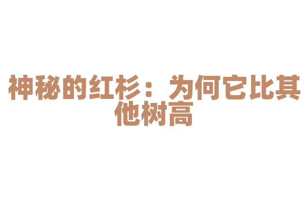 神秘的红杉：为何它比其他树高？