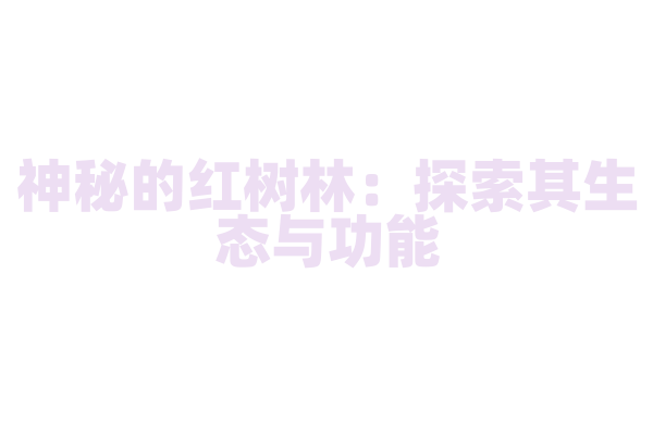 神秘的红树林：探索其生态与功能