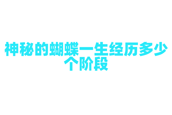神秘的蝴蝶一生经历多少个阶段？