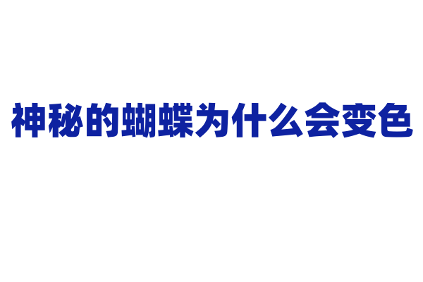 神秘的蝴蝶为什么会变色？