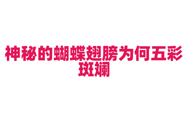 神秘的蝴蝶翅膀为何五彩斑斓？