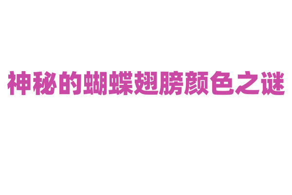 神秘的蝴蝶翅膀颜色之谜