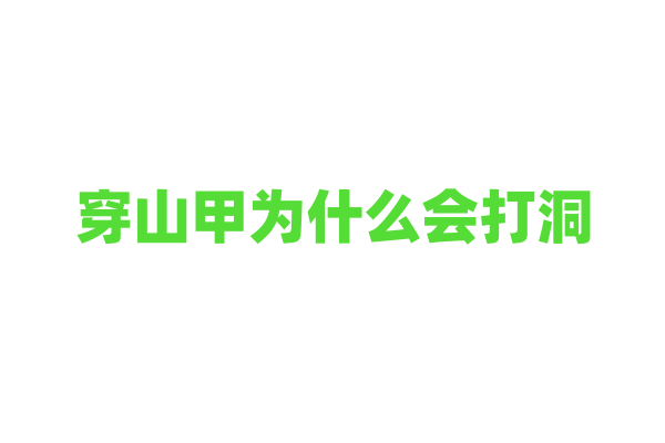 穿山甲为什么会打洞，它的挖掘能力和身体结构有什么关系？