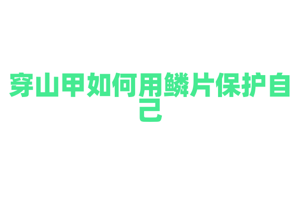 穿山甲如何用鳞片保护自己？