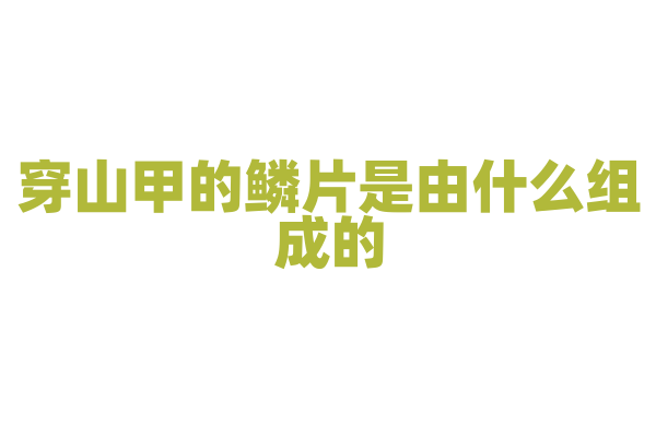 穿山甲的鳞片是由什么组成的？