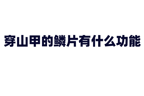 穿山甲的鳞片有什么功能？