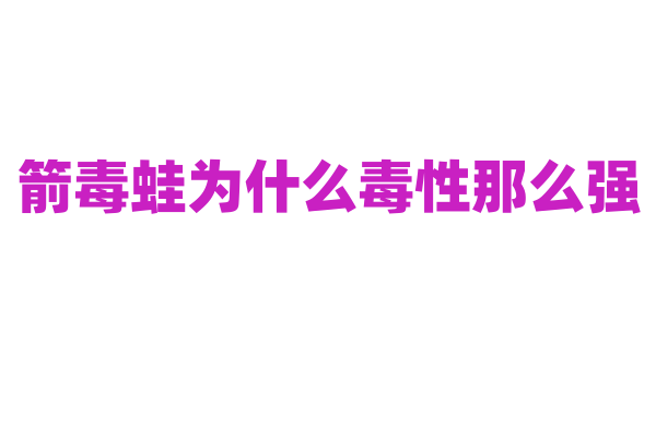 箭毒蛙为什么毒性那么强，它的毒素来源和作用机制是什么？
