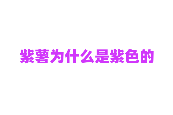 紫薯为什么是紫色的，它的花青素含量有什么特点？