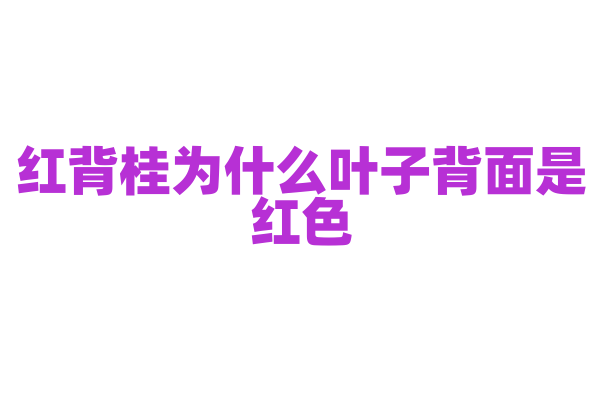 红背桂为什么叶子背面是红色，它的色素分布和生理功能是什么？