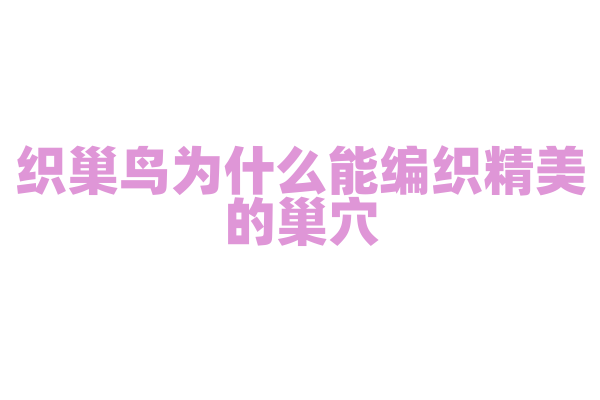 织巢鸟为什么能编织精美的巢穴，它的筑巢技巧是如何形成的？