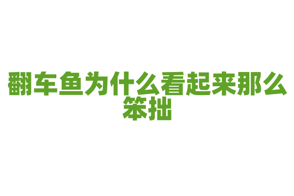 翻车鱼为什么看起来那么笨拙，它的生存策略是什么？