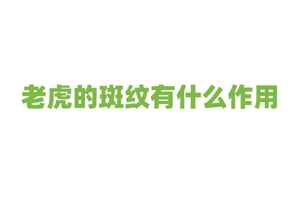 老虎的斑纹有什么作用，它是怎么隐藏自己的？