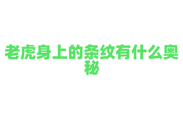 老虎身上的条纹有什么奥秘？