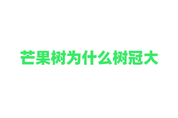 芒果树为什么树冠大，它的生长特性和生态意义是什么？