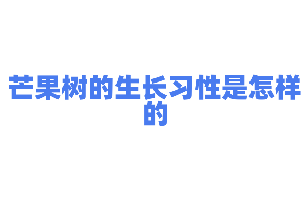 芒果树的生长习性是怎样的