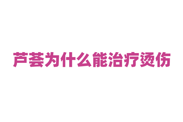 芦荟为什么能治疗烫伤，它含有的有效成分是什么？