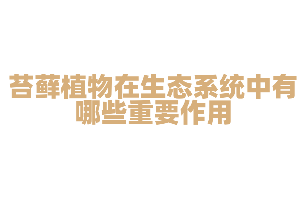 苔藓植物在生态系统中有哪些重要作用？