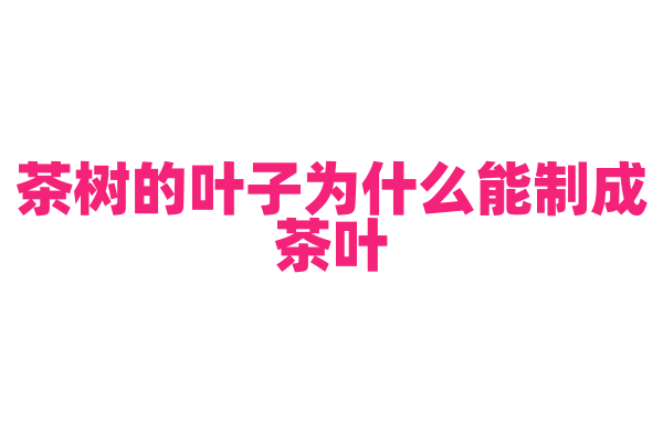 茶树的叶子为什么能制成茶叶，制茶过程发生了什么变化？
