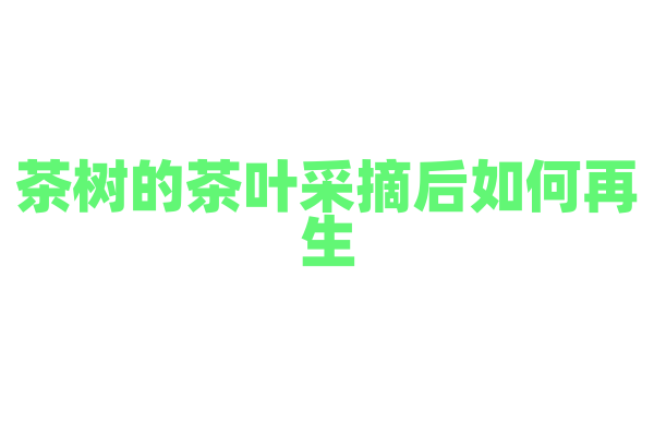 茶树的茶叶采摘后如何再生