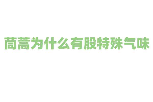 茼蒿为什么有股特殊气味，这种气味对它自身有什么作用？