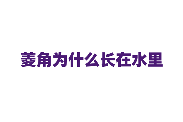 菱角为什么长在水里，它的水生生长方式有什么独特之处？