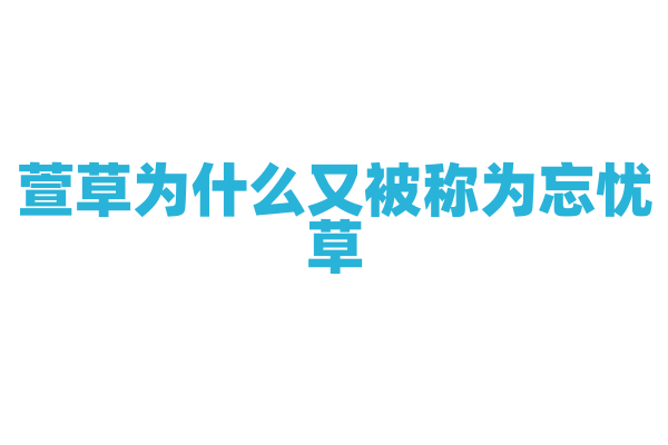 萱草为什么又被称为忘忧草，它在文化和医学上有什么寓意？