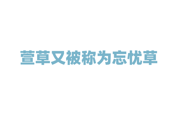 萱草又被称为忘忧草，真能让人忘却烦恼？