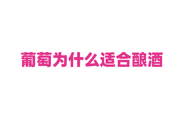 葡萄为什么适合酿酒，它的成分与酿酒有什么关系？