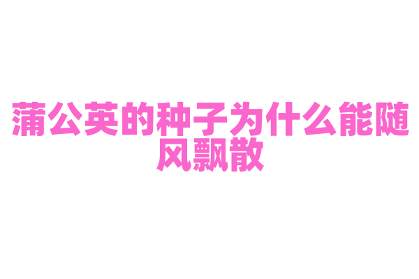 蒲公英的种子为什么能随风飘散，它的结构有什么奥秘？
