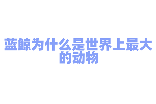 蓝鲸为什么是世界上最大的动物，它的生长和进化有什么特点？