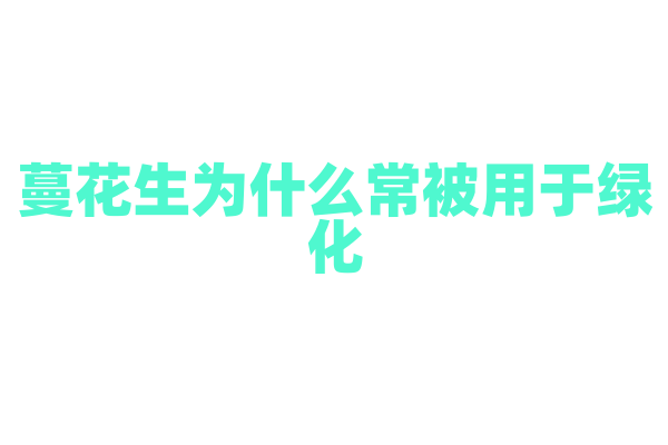 蔓花生为什么常被用于绿化，它的观赏价值和生态适应性如何？