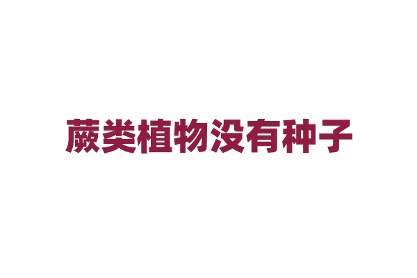 蕨类植物没有种子，是怎样繁殖后代的？