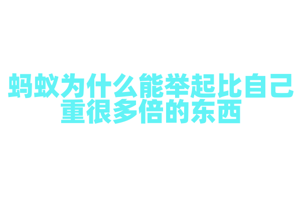 蚂蚁为什么能举起比自己重很多倍的东西，它的力量来源是什么？