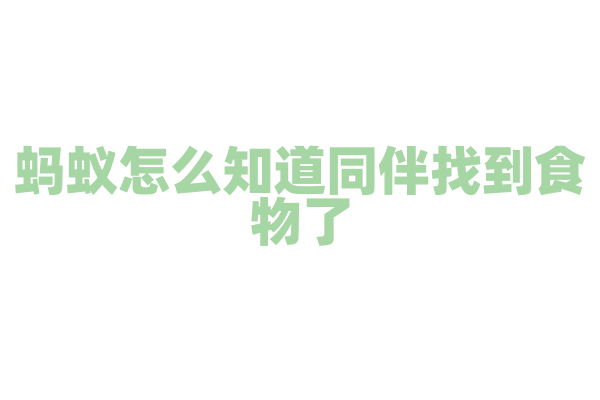 蚂蚁怎么知道同伴找到食物了？