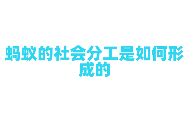 蚂蚁的社会分工是如何形成的？