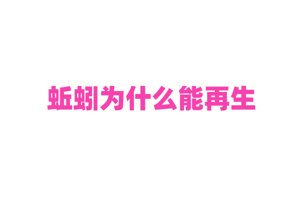 蚯蚓为什么能再生，它的再生机制和身体结构有什么联系？
