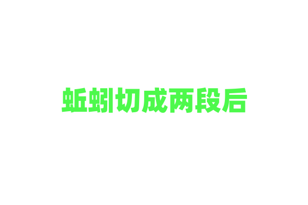 蚯蚓切成两段后，为什么能变成两条活蚯蚓？