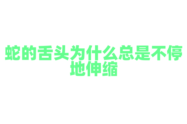 蛇的舌头为什么总是不停地伸缩？