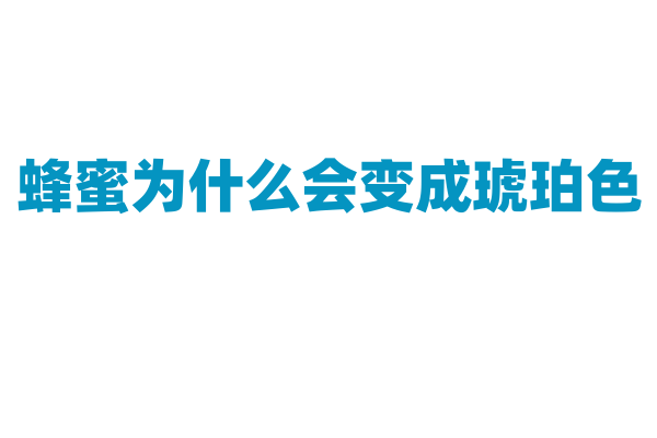 蜂蜜为什么会变成琥珀色？