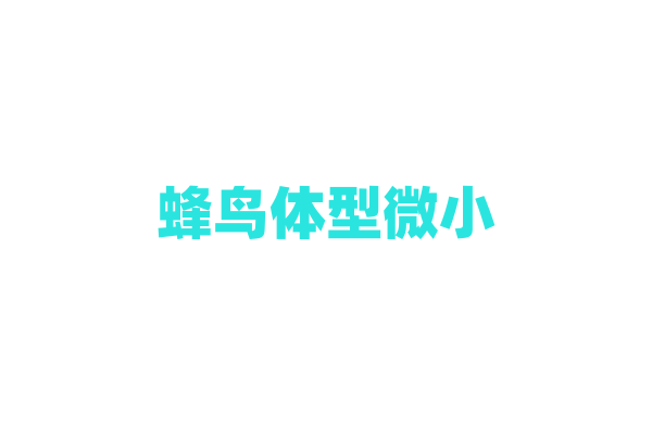 蜂鸟体型微小，却能悬停飞行，怎么办到的？